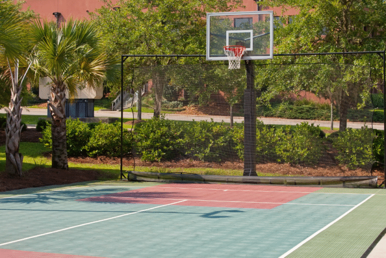 Birla Navya Avik Basketball Court Amenities